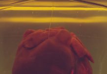 8 Reasons You Should See a Cardiologist ASAP