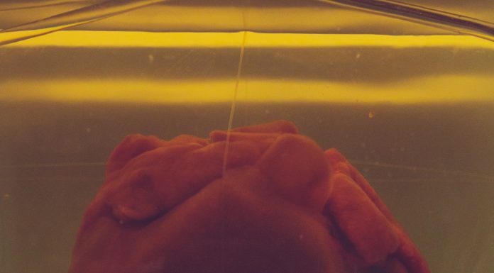 8 Reasons You Should See a Cardiologist ASAP