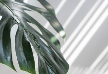 Drink more water and lose excess weight