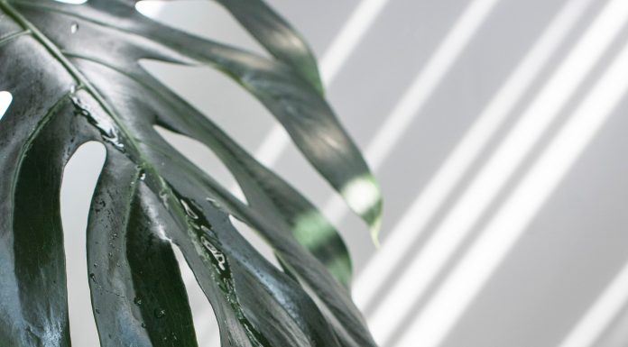 Drink more water and lose excess weight