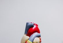 Understanding How to Manage Cholesterol